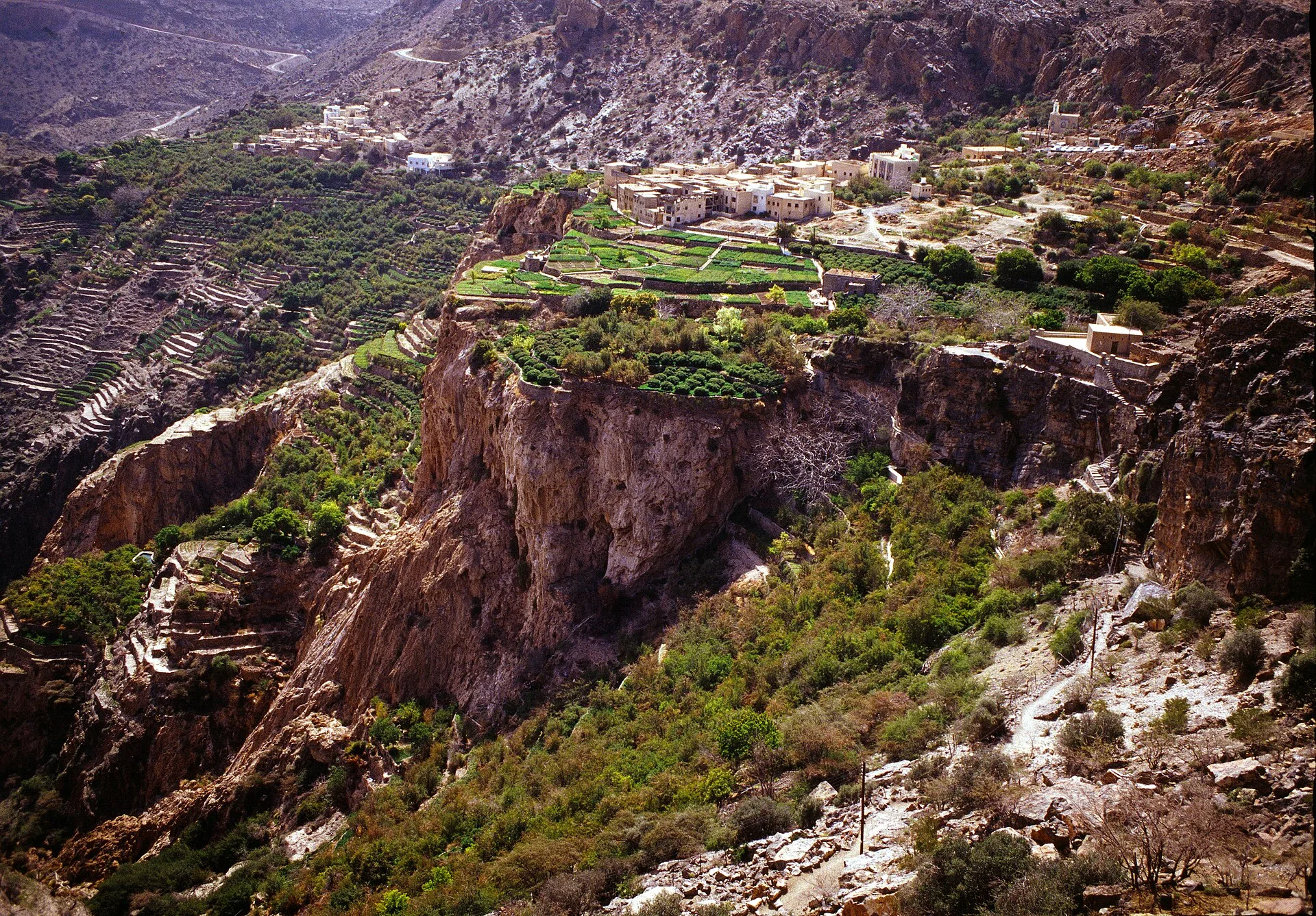 Jour 4 : Le Jebel Akhdar — la montagne verte d'Oman