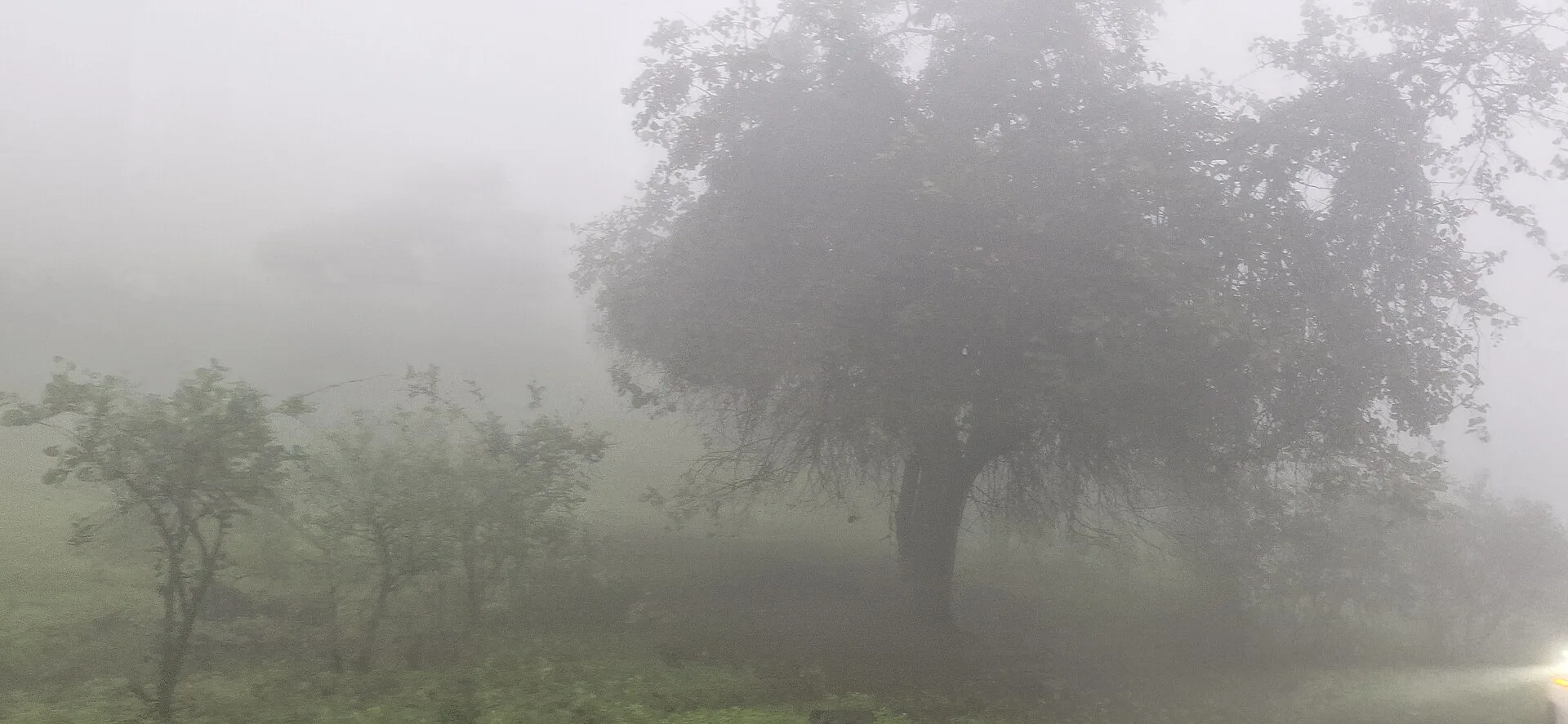 Pourquoi choisir Salalah ?