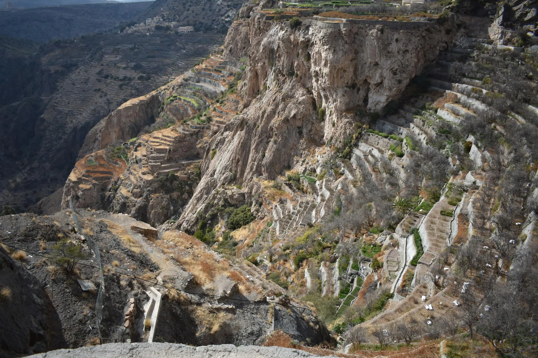 Jebel Akhdar — Les terrasses de roses