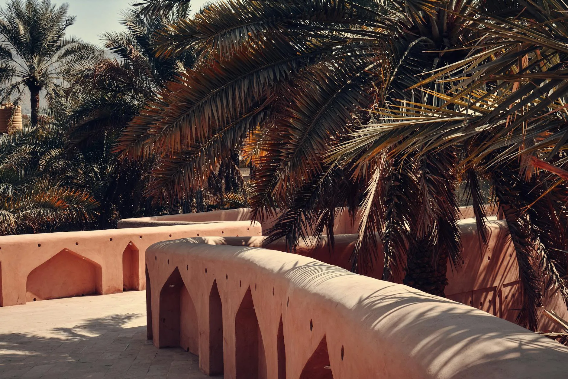 La palmeraie et le falaj de Nizwa