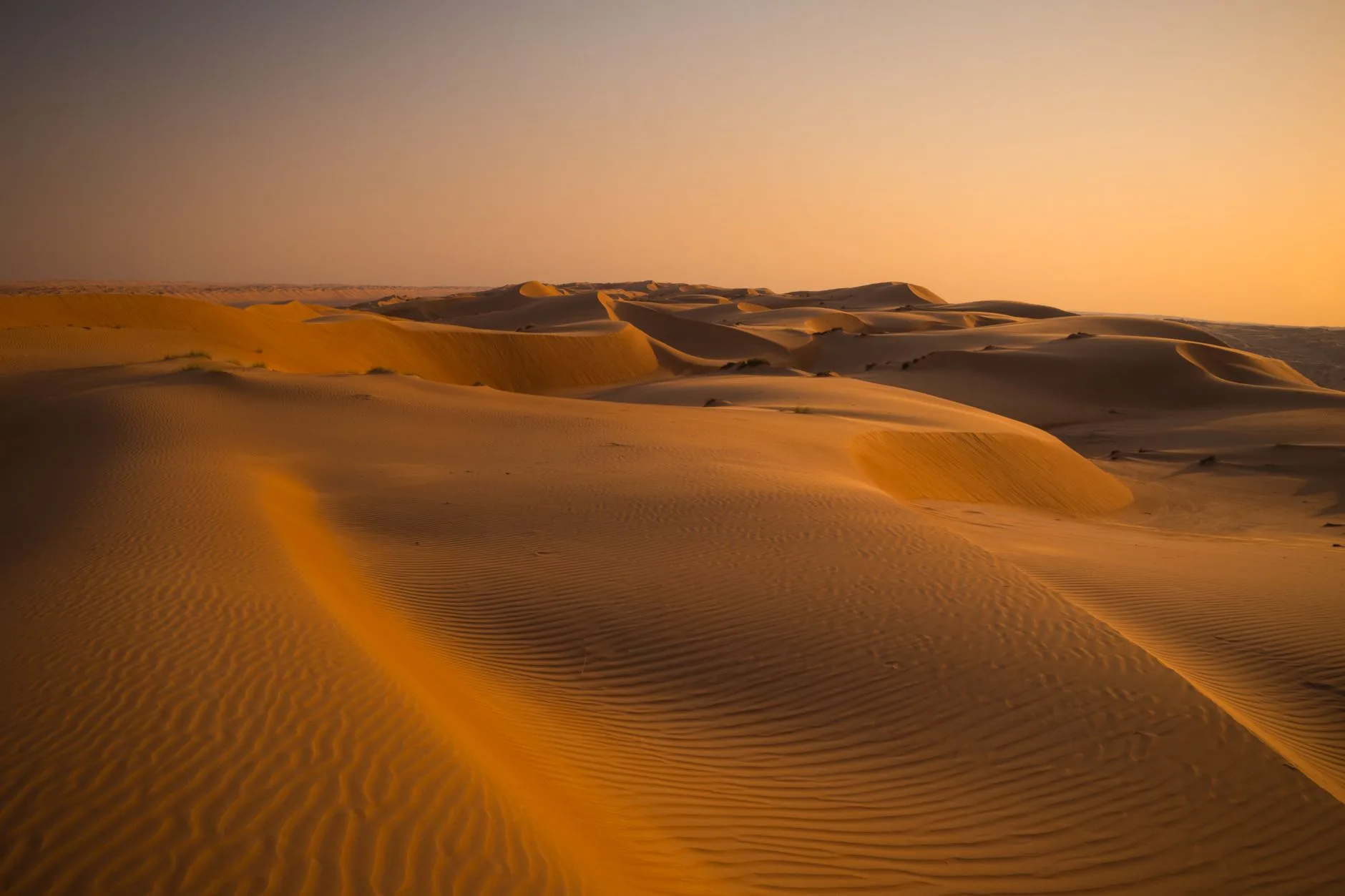 Dunes dorées du désert de Wahiba (Sharqiyah Sands) au coucher du soleil, région du Sharqiyah, Oman