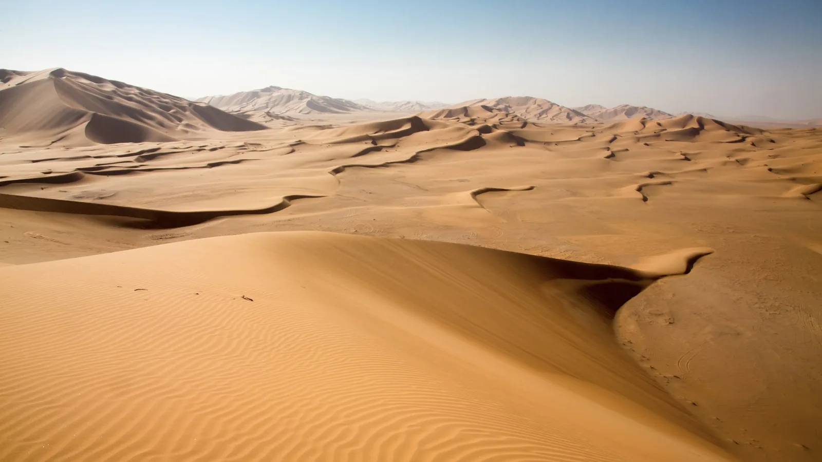 Les Wahiba Sands, un désert d'exception