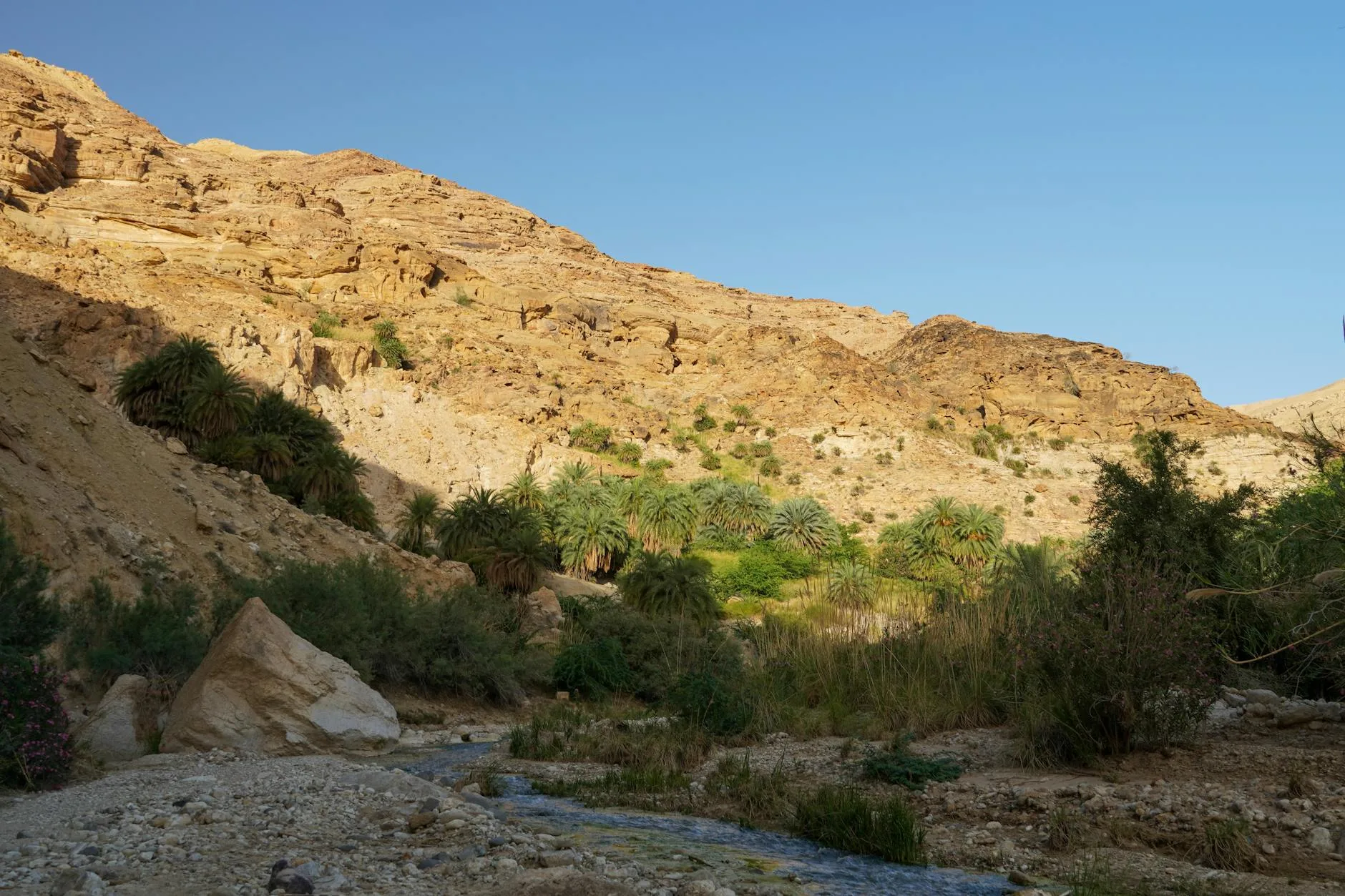 Wadi Tiwi — Le jumeau méconnu de Wadi Shab